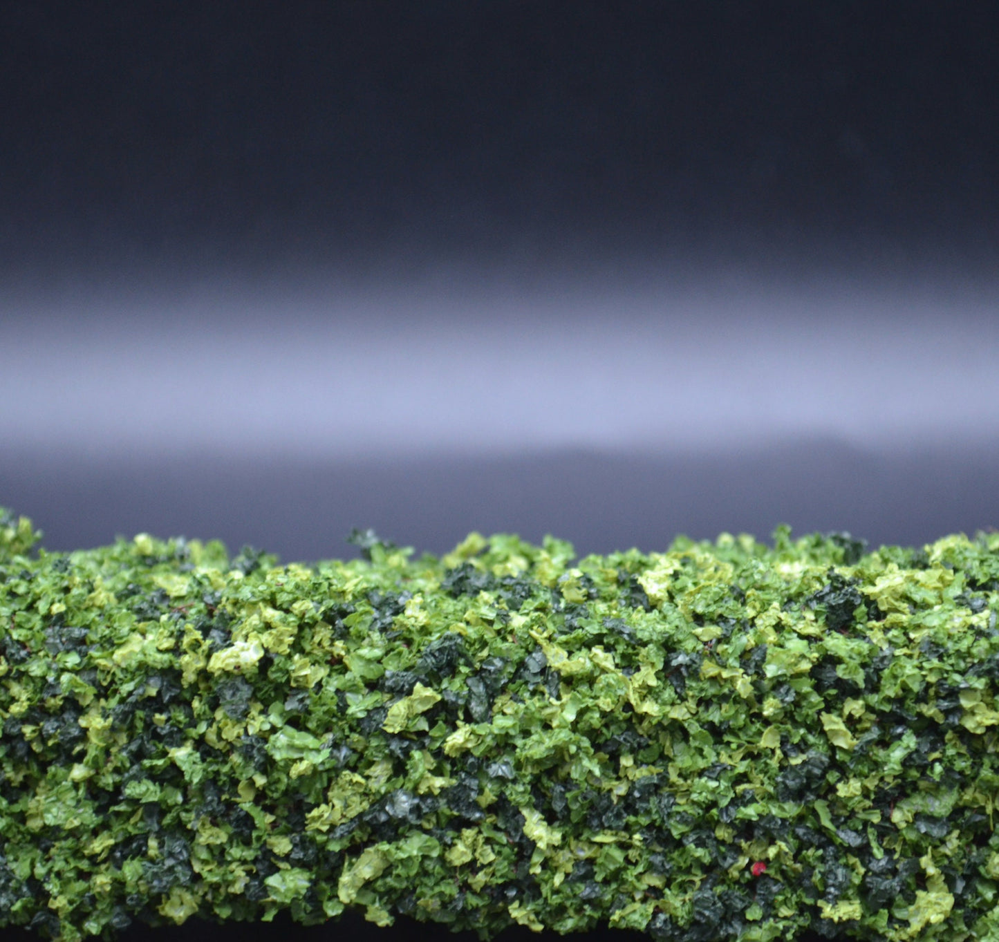 Green Square Hedges | 8 Inches | Set of 3 | Miniature for Dollhouse Garden
