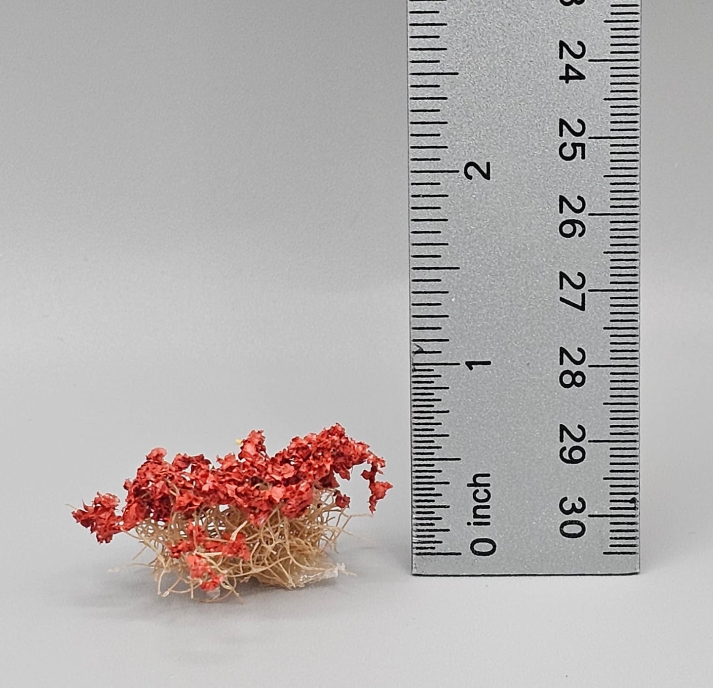 Tiny Rust Brittle Bushes | 1/2 Inch | Set of 3 | Miniature for Dollhouse Garden