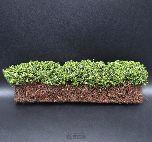 Trimmed Green Garden Bushes | 8 Inches | Miniature for Garden
